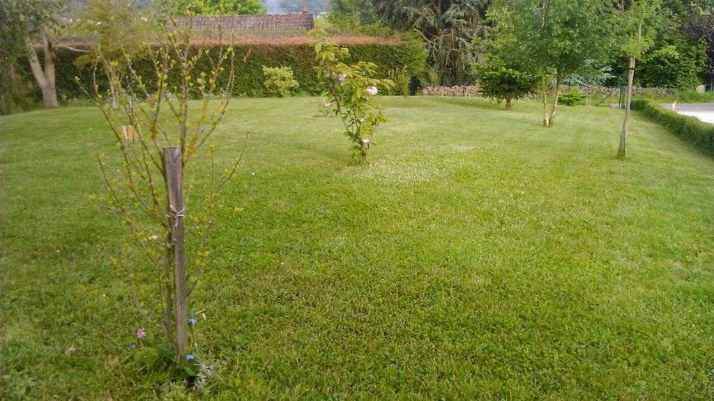 Gandelain Gite Et Chambres D'Hotes מראה חיצוני תמונה